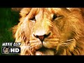 THE CHRONICLES OF NARNIA THE LION THE WITCH AND THE WARDROBE Clip Meeting Aslan 2005