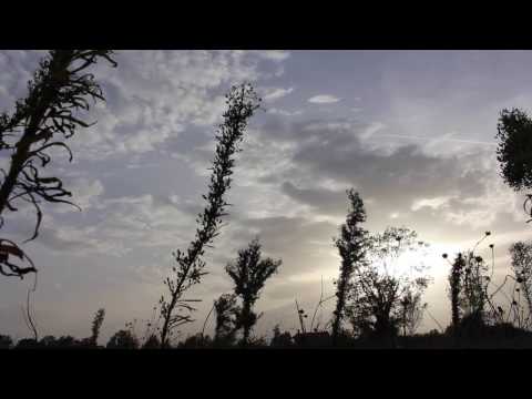 video frame placeholder