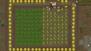 Video 5