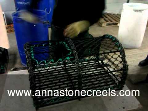 Annastonez