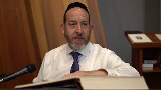 Daf Yomi: Bava Metzia 48 | Rabbi Shmuel Silber