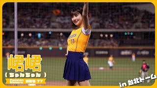 台北ドームで奏でる、勝利卡農📣  峮峮 （ちゅんちゅん）チュンチュン  Passion Sisters 中信兄弟啦啦隊 読売ジャイアンツ 台日交流賽  臺北大巨蛋　2024/03/02【台湾チアTV】