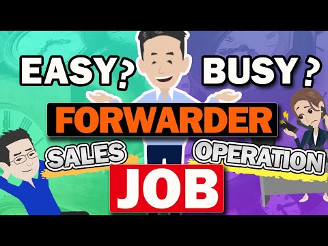 How busy the Freight Forwarder Job is? Explained the points to judge busy forwarder.