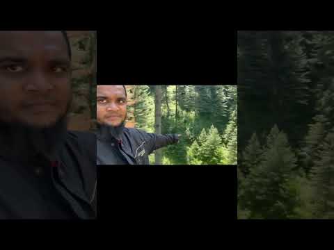 Beautiful View Shinkiari Road #beautiful #beauty #shinkiari #pakistan #trending #roadtrip