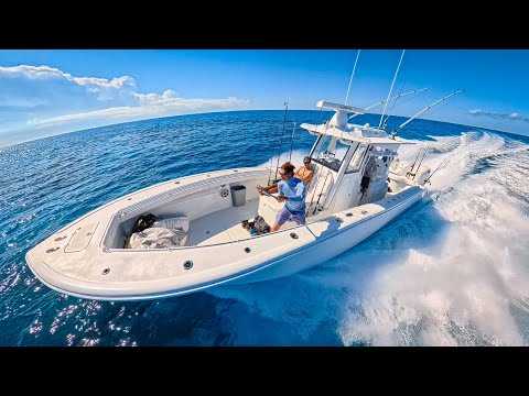 Big Ol' Bahamian Sea-Critters Hunt and Fishing - Crawfish, Wahoo, Grouper, and more