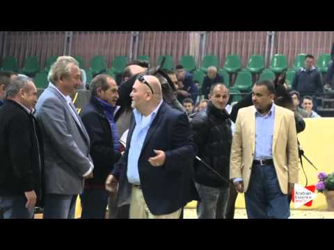 3RD-N.5 TF DAUPHINE - Milan 2016 - Yearling Fillies Championship (Class 15)