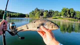 HUGE Catfish Are SUCKERS for This Bait