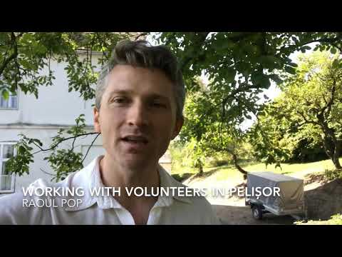 Working with volunteers in Pelișor
