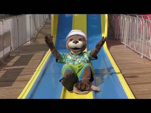 Slider Sliding Down the Super Slide!