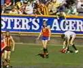 VFL Football Preliminary Final 1986 - Hawthorn v Fitzroy
