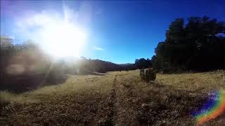 Highlight from a fall ride on eastern Arizona Cow Trail: The Green Arrow