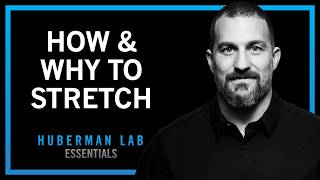 Improve Flexibility with Research-Supported Stretching Protocols | Huberman Lab Essentials thumbnail