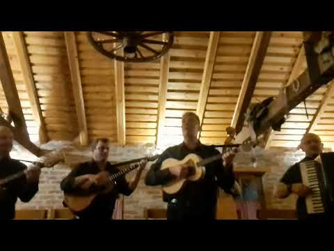 TS SVIRCI - MIX PJESAMA GOSPODINA ZVONKA BOGDANA