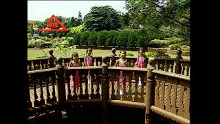 [快乐宝贝] ABC Song + Twinkle Twinkle Little Star + Little Polly Flinders -- 中英童谣 Vol. 1 (Official MV)