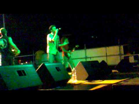 .Radici nel cemento - Er traffico de Roma