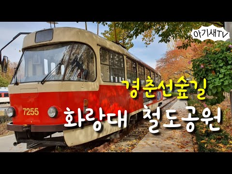 [아이랑갈만한곳] 경춘선숲길 | 화랑대 철도공원 | 단풍예쁜곳