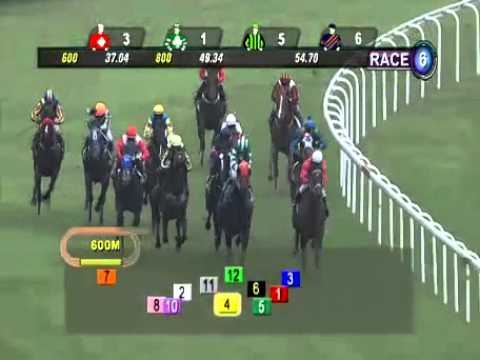 SINGAPORE RACE 01/01/2014 RACE 6 - iAgencyNet.com