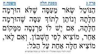 מסכת חלה פרק ג משנה ח