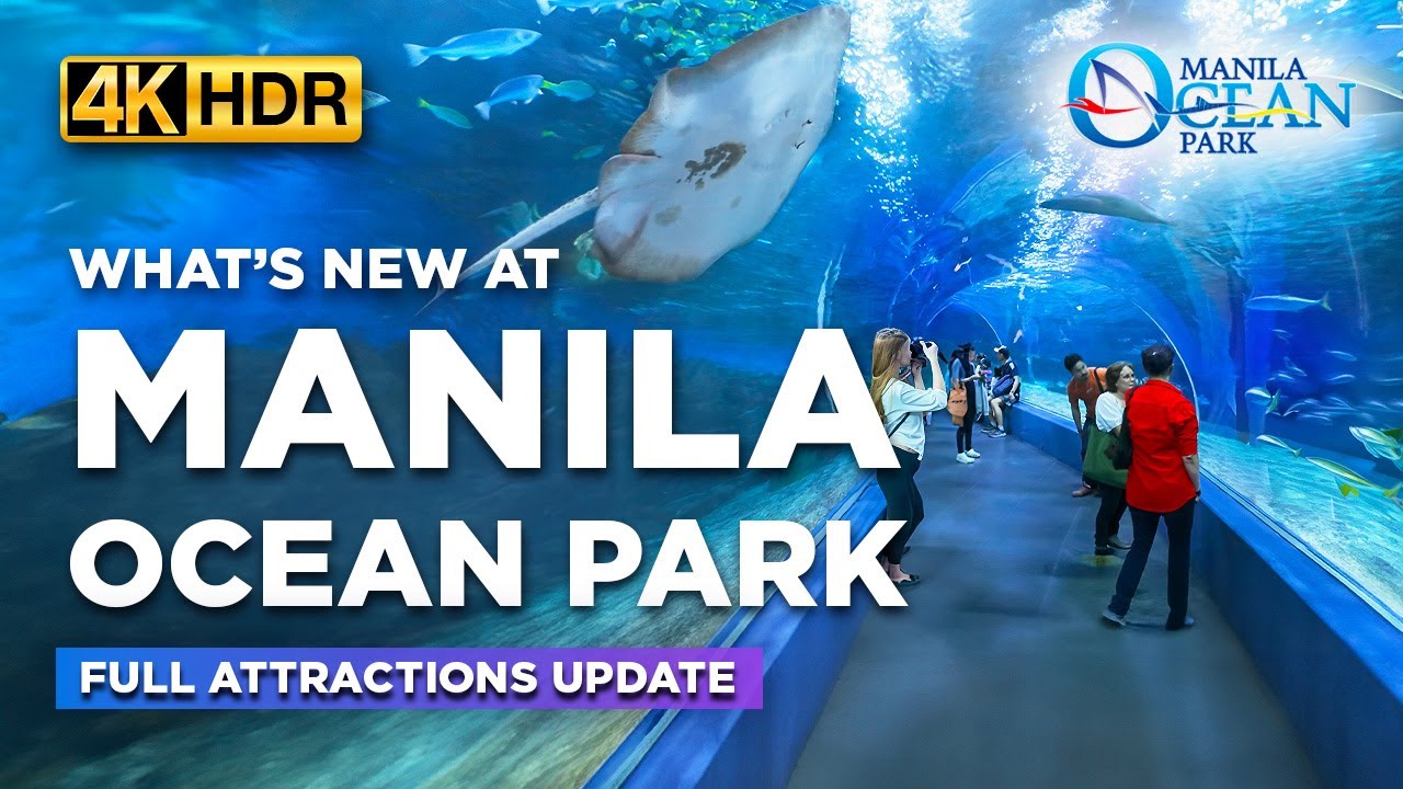 Experience an immersive walking tour of Manila Ocean Park.