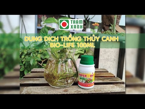 , title : 'Dung dịch trồng thủy canh Bio - Life'