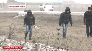 Масштабный субботник в Шали