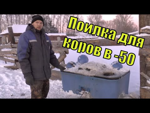 Автоматическая поилка для животных  с подогревом в -50. Как себя показала/ Семья Фетистовых