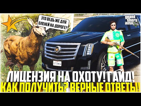 КАК ПОЛУЧИТЬ ЛИЦЕНЗИЮ НА ОХОТУ НА ГТА 5 РП? ВСЕ ВЕРНЫЕ ОТВЕТЫ! ГАЙД! - GTA 5 RP Downtown/Strawberry