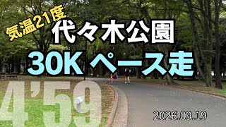 【めざせ320】代々木公園で30kmペース走に挑戦!目標は5’00ペース!2026.09.19 #サブ4 #サブ35