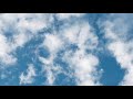 Falling Out Of Bed 2021 - Frank Enea & The Crooked Hearts