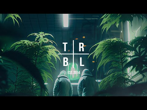 Video thumbnail for Kush