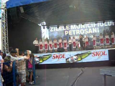 Ansamblul,,Oltenasii''Valea lui Patru Dolj