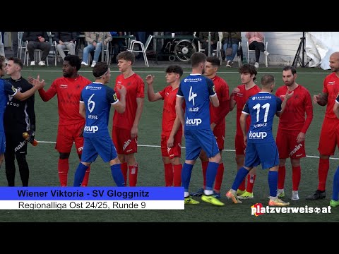 Highlights Wiener Viktoria - SV Gloggnitz, Regionalliga Ost 24/25