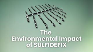 The Environmental Impact of SulfideFix