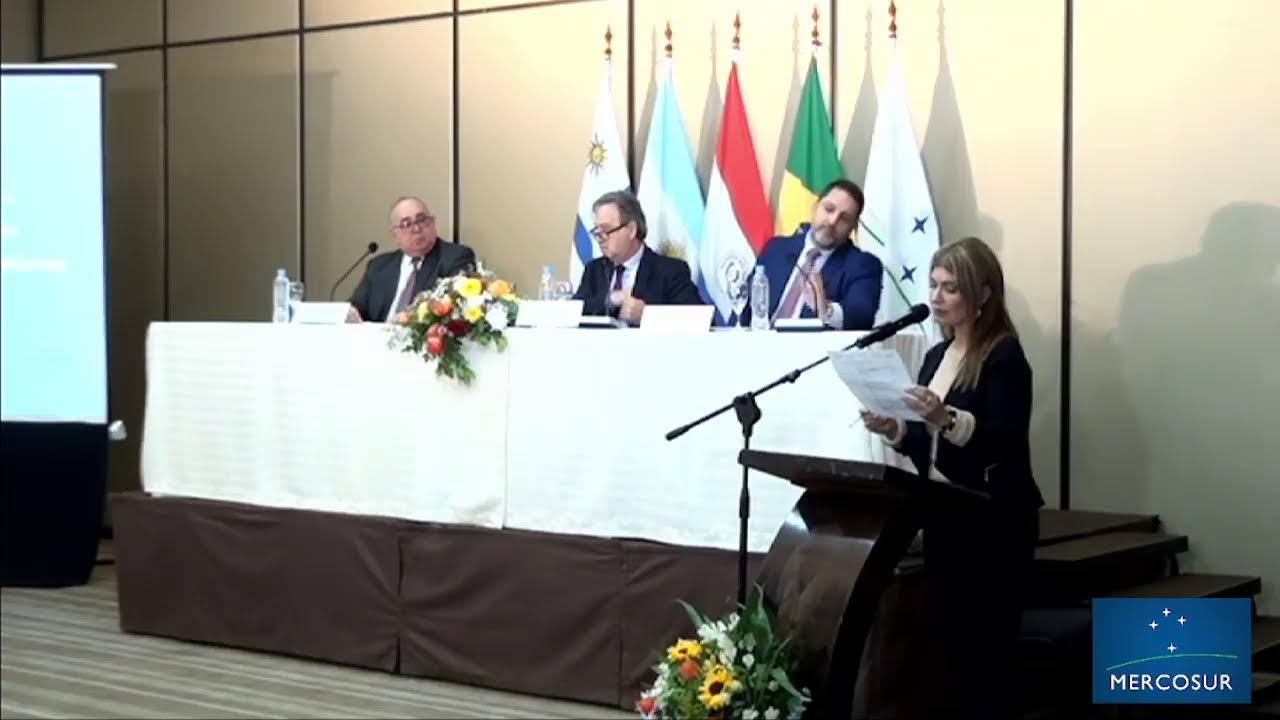 Instituto Social del MERCOSUR