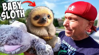 We Got A New Baby Sloth! by Brian Barczyk