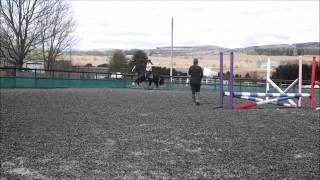 preview picture of video 'Cobs Can Jump ( Full Lesson)'