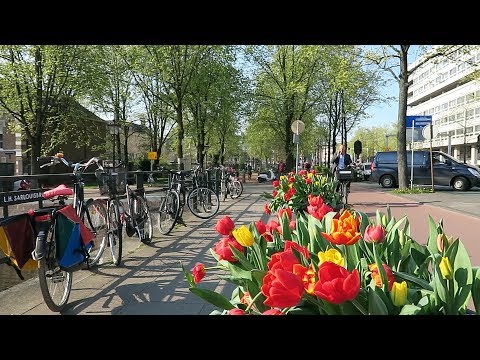 Amsterdam in Spring - April 2019