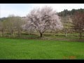 trance music videos 2013 hd.kashmir hd ...