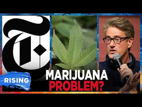 New York Times ADMITS US Has Marijuana Problem, URGES Regulation | RISING
