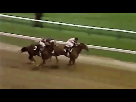Affirmed vs. Alydar: All 10 Races in the Rivalry