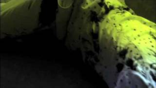 CSI : Miami - Season Finale Extended Preview 