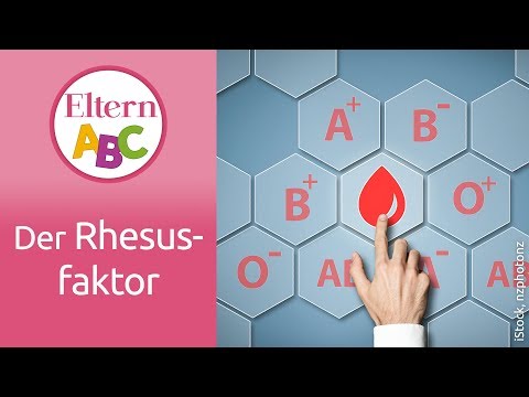 Welche Rolle spielt der Rhesusfaktor in der Schwangerschaft? | Schwangerschaft | Eltern ABC | ELTERN