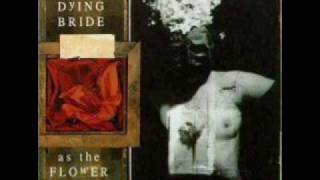 The Forever People - My Dying Bride