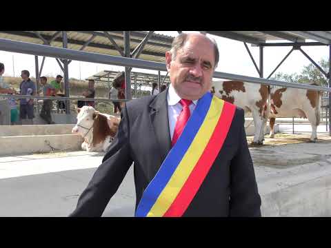 Ziua Recoltei, la Viișoara (14.09.2019)