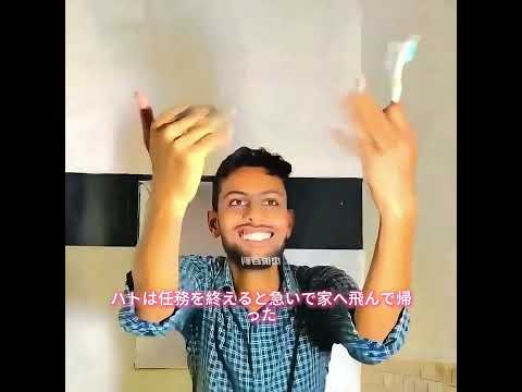 #犬動画 #わんこ #いぬすたぐらむ #犬のいる暮らし #賢い犬 #忠犬 #感動犬