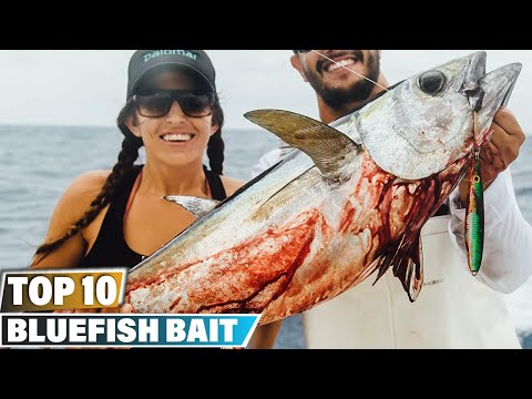 Best Bait For Bluefishes In 2024 - Top 10 Bait For Bluefish Review
