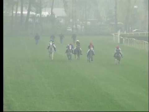 LL, 17. 4. 2017, Pony liga