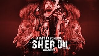Sher Dil - Akay ft. Bohemia | New 2017 rap/song beat | akay ft. bohemia Type beat| Instrumental