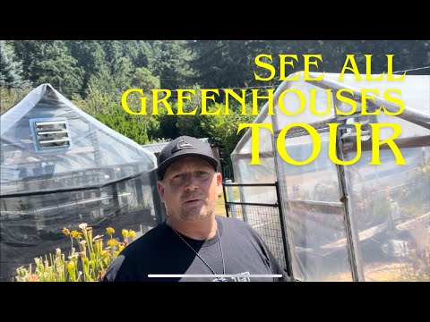 How much we’ve grown- What my 7 Greenhouses of Carnivorous Plants Looks Like 👀