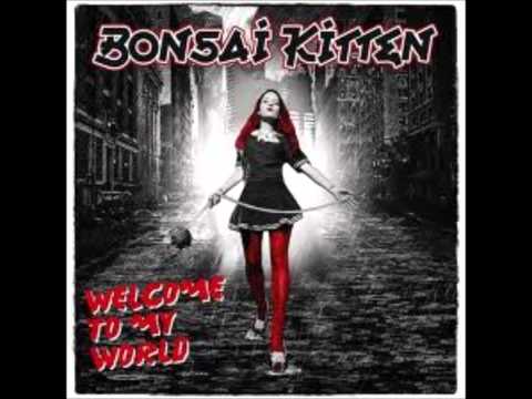 Bonsai Kitten -  Welcome To My World